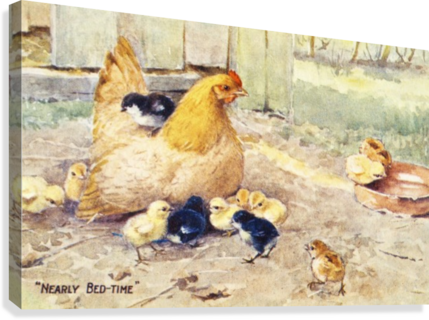 Vintage Greeting Card With Illustration Of Hen And - Supplier Generic Vintage Greeting Card With Illustration (429x320), Png Download