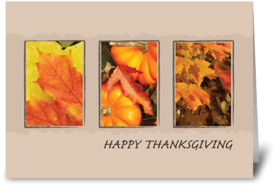 2801 Three Leave Thanksgiving Greeting Card - Thanksgiving With Fall Foliage And Pumpkins Card (424x349), Png Download
