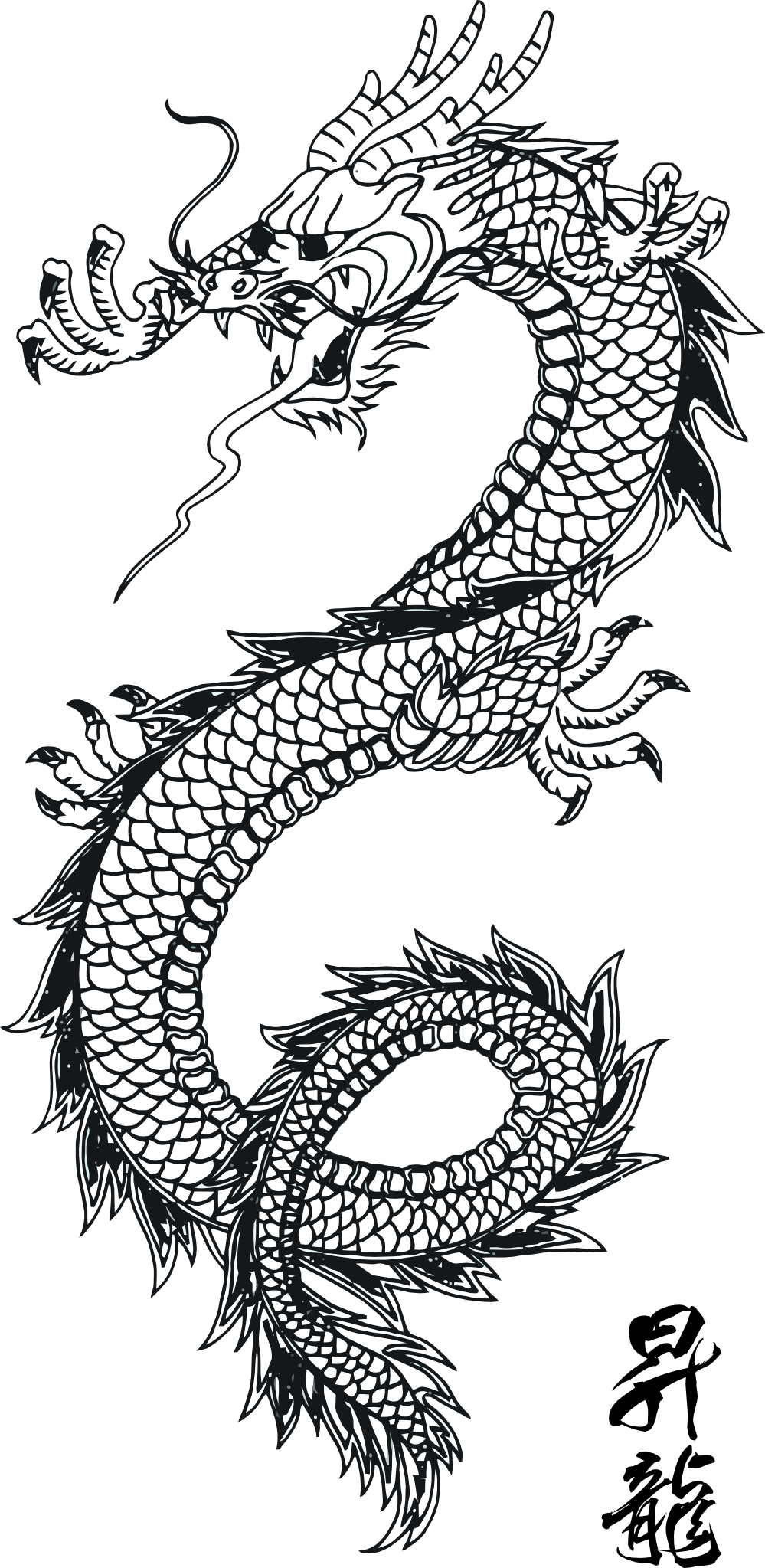Dragon Tattoos Png Clipart - Tattoo Dragon Vector Png (999x2047), Png Download