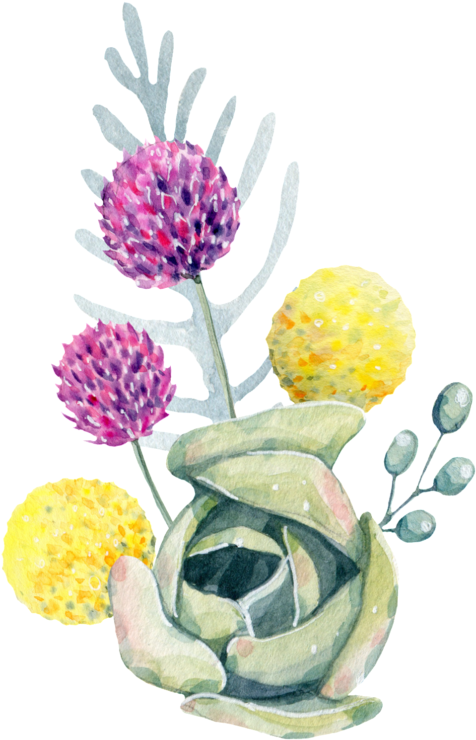 Hand Painted Yellow Onion Flower Png Transparent - Flower (1024x1551), Png Download