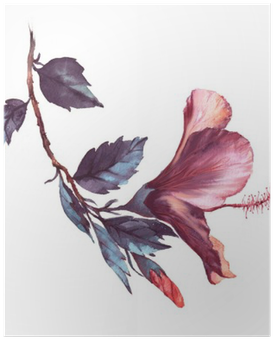 Hand-drawn Watercolor Floral Illustration Of The Tender - Goodmoodcases Plastic Hard Case Cover For Macbook Pro (400x400), Png Download