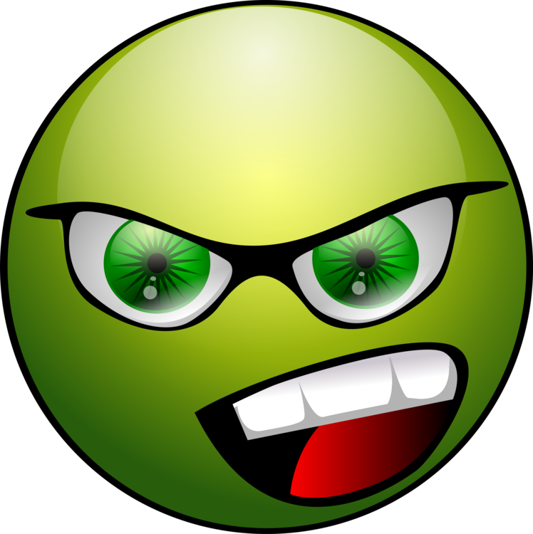 Green Smiley Face Png - People I Want To Punch In The Face Notebook Journal (638x640), Png Download