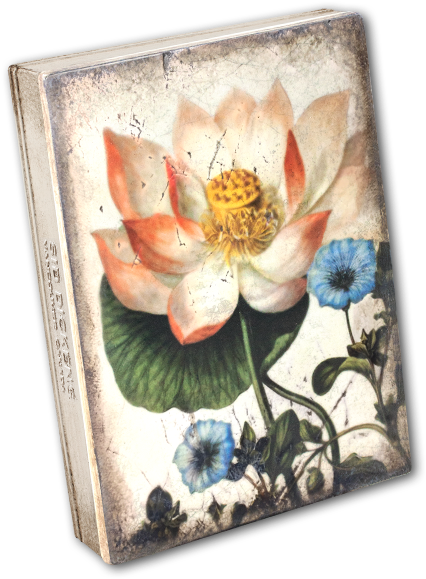 Sacred Lotus - Protea (357x460), Png Download