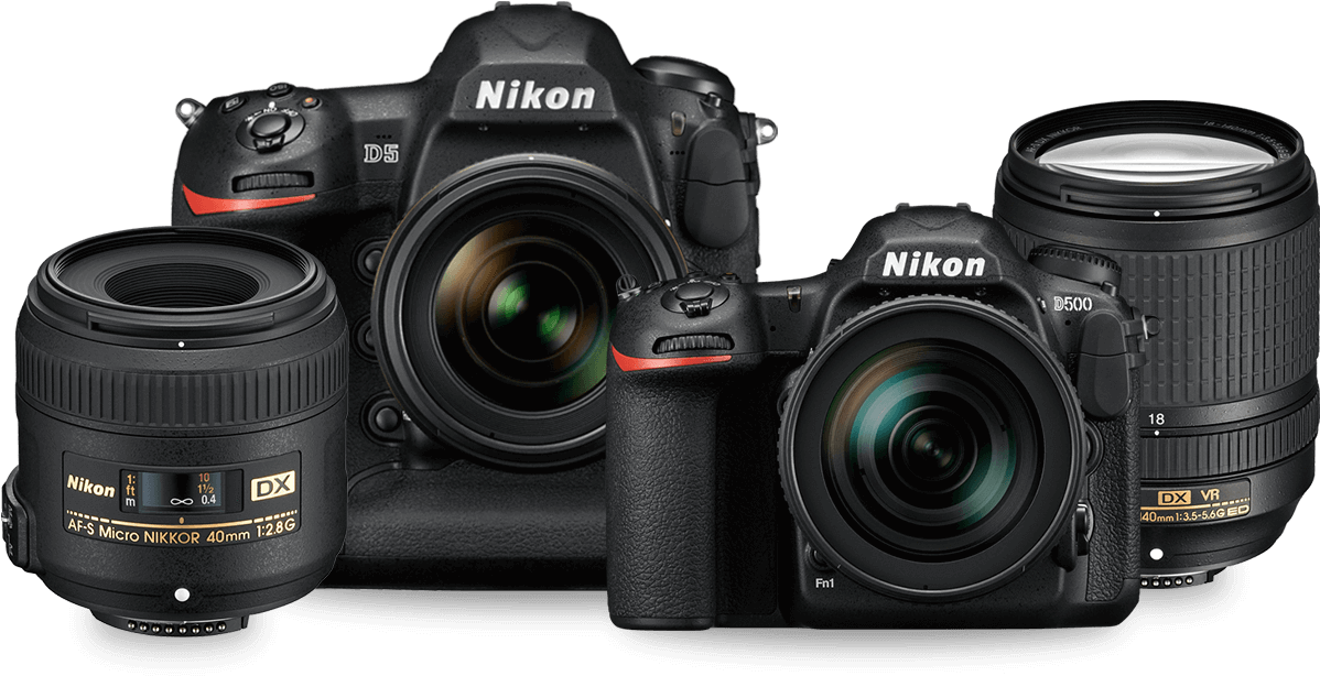 Nikon D5 Vs D3400 (1200x630), Png Download