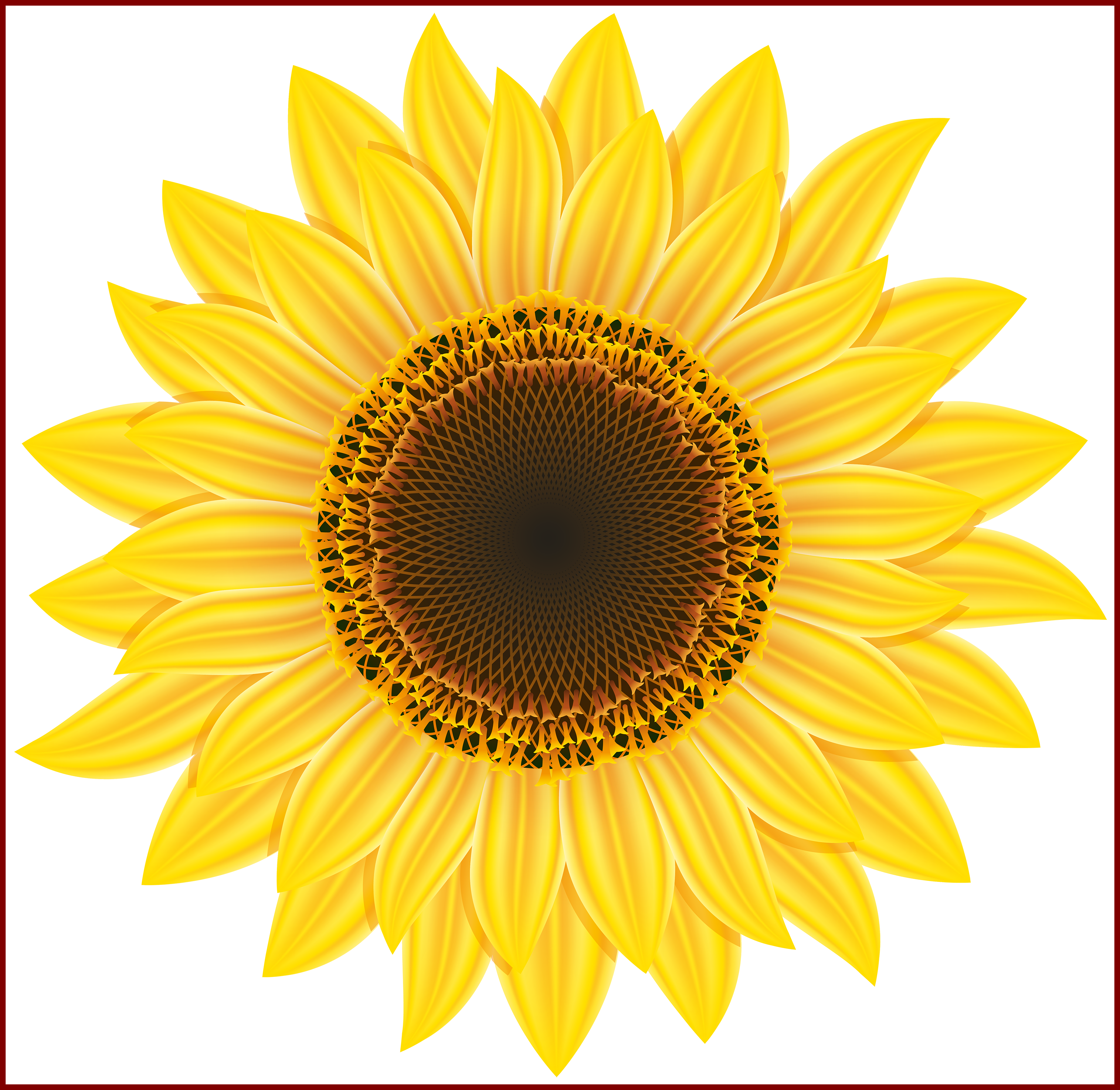 Sunflower Png Clipart - High Res Flower Png (3000x2919), Png Download