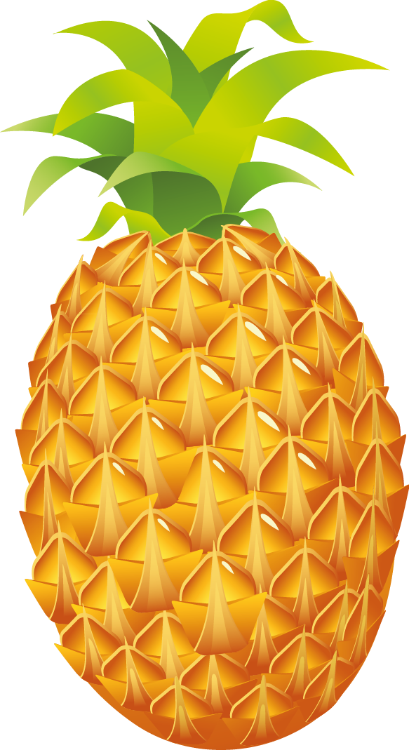 Pineapple Clipart - Pineapple Clipart Png (558x1024), Png Download