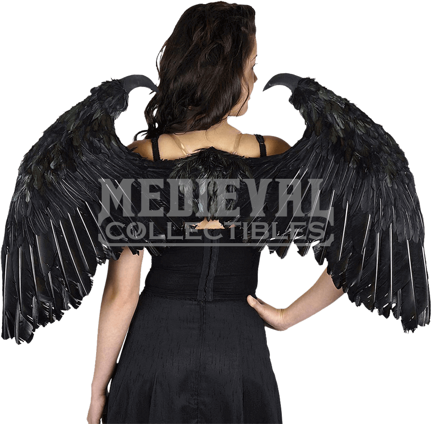 Small Maleficent-inspired Feather Wings (850x850), Png Download