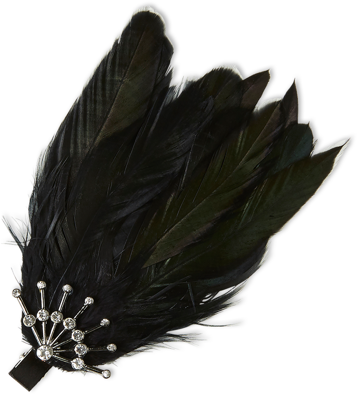 Feather Hair Clip Black - Portable Network Graphics (888x888), Png Download