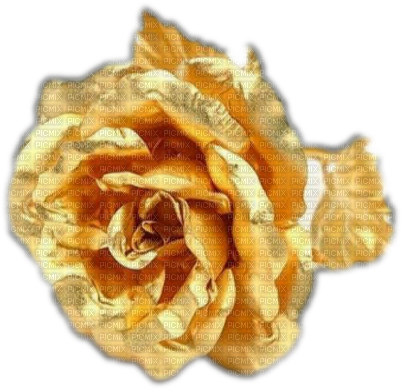 Gold Rose - 24 Carat Gold Flower (400x400), Png Download