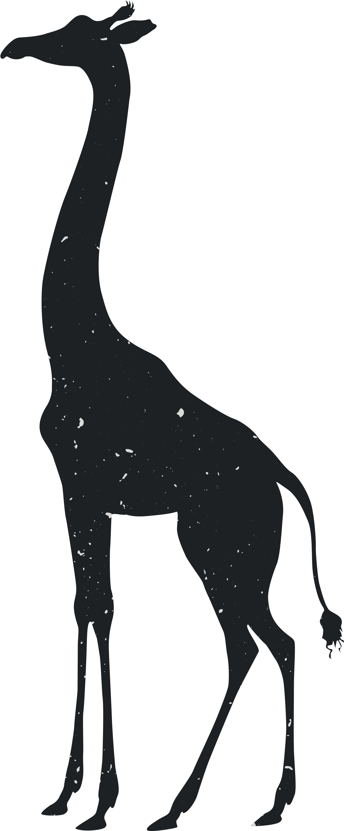Giraffe Tiger Silhouette Animal Drawing - Transparent Giraffe Silhouette (3600x3600), Png Download