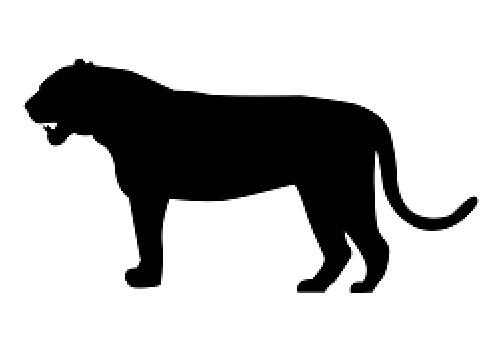 Tiger Bookami® Silhouette Book Folding On Bookami® - Tiger (500x500), Png Download