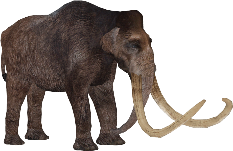 Woolly Mammoth (921x921), Png Download