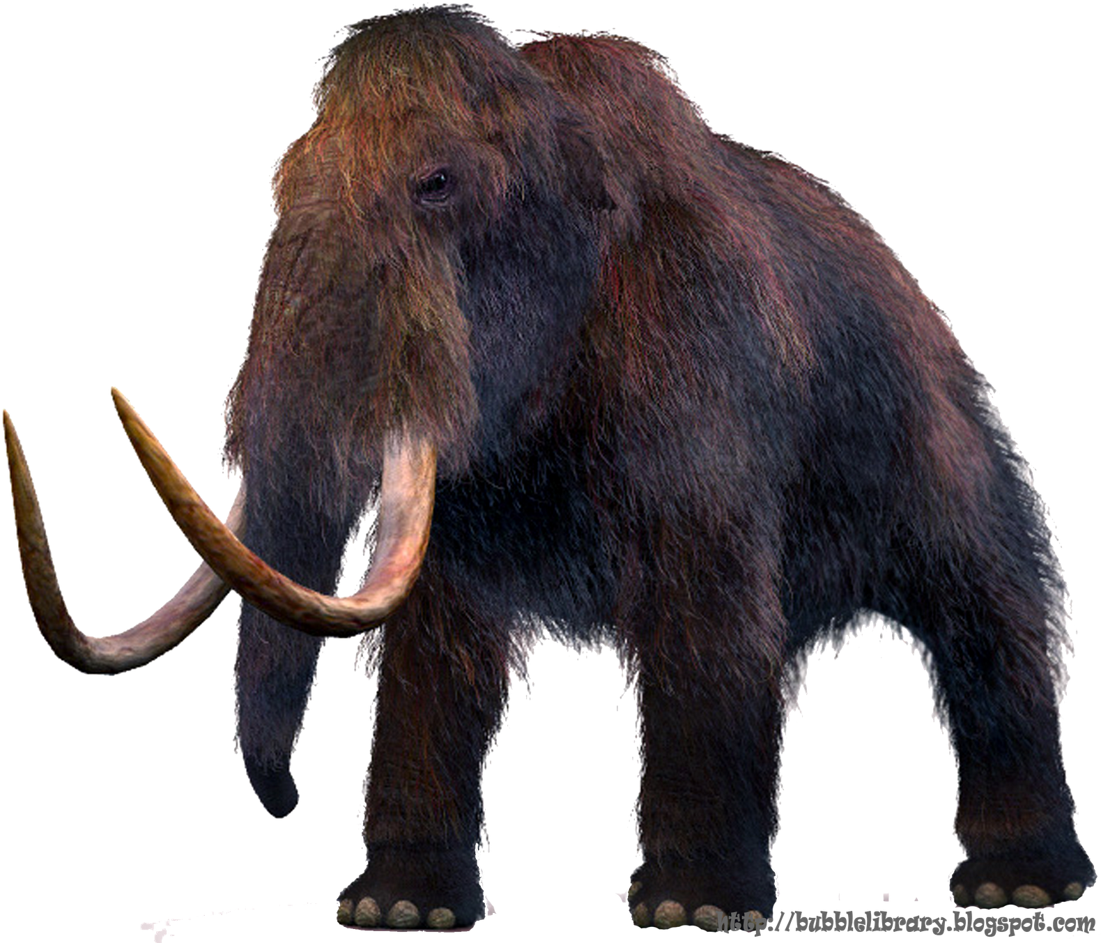 Fed Entirely On Plants (1600x1356), Png Download