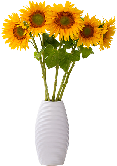 Voiceover Artist - Sunflower In Vase Png (400x567), Png Download