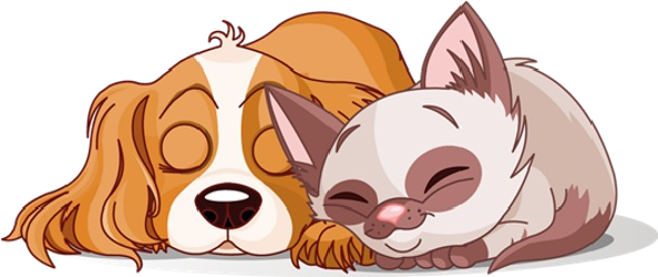 Pets Animated Dog Pencil And In Color - Cocker Spaniel Clip Art (600x600), Png Download