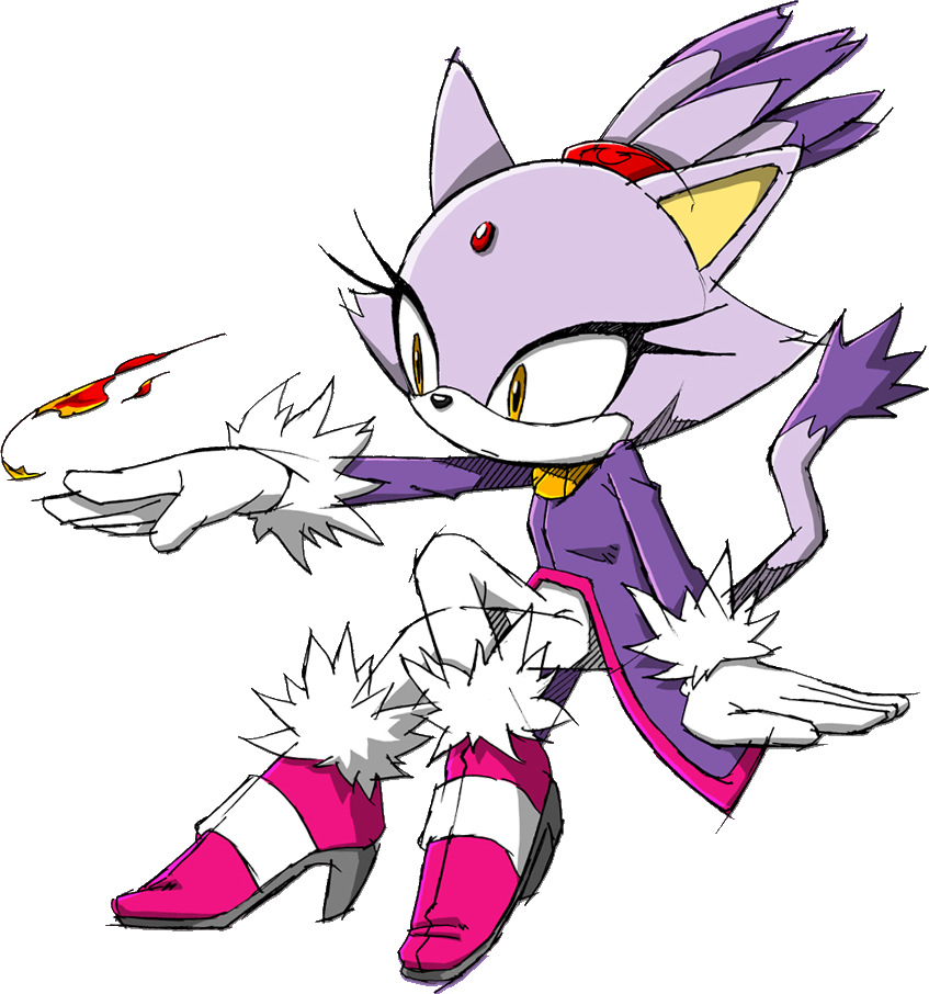 Blaze The Cat (847x906), Png Download