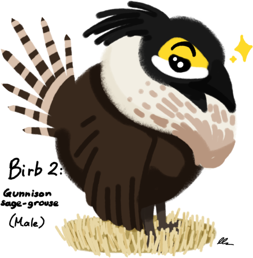 Jpg Royalty Free Library Birb Drawing Adorable Bird - Accipitriformes (894x894), Png Download