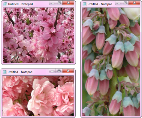 Mine Flower Flowers Pink Nature Pastel Blossom Png - Cherry Blossom (500x418), Png Download