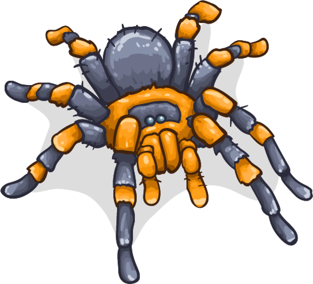 Tarantula - Drawing (1024x1024), Png Download