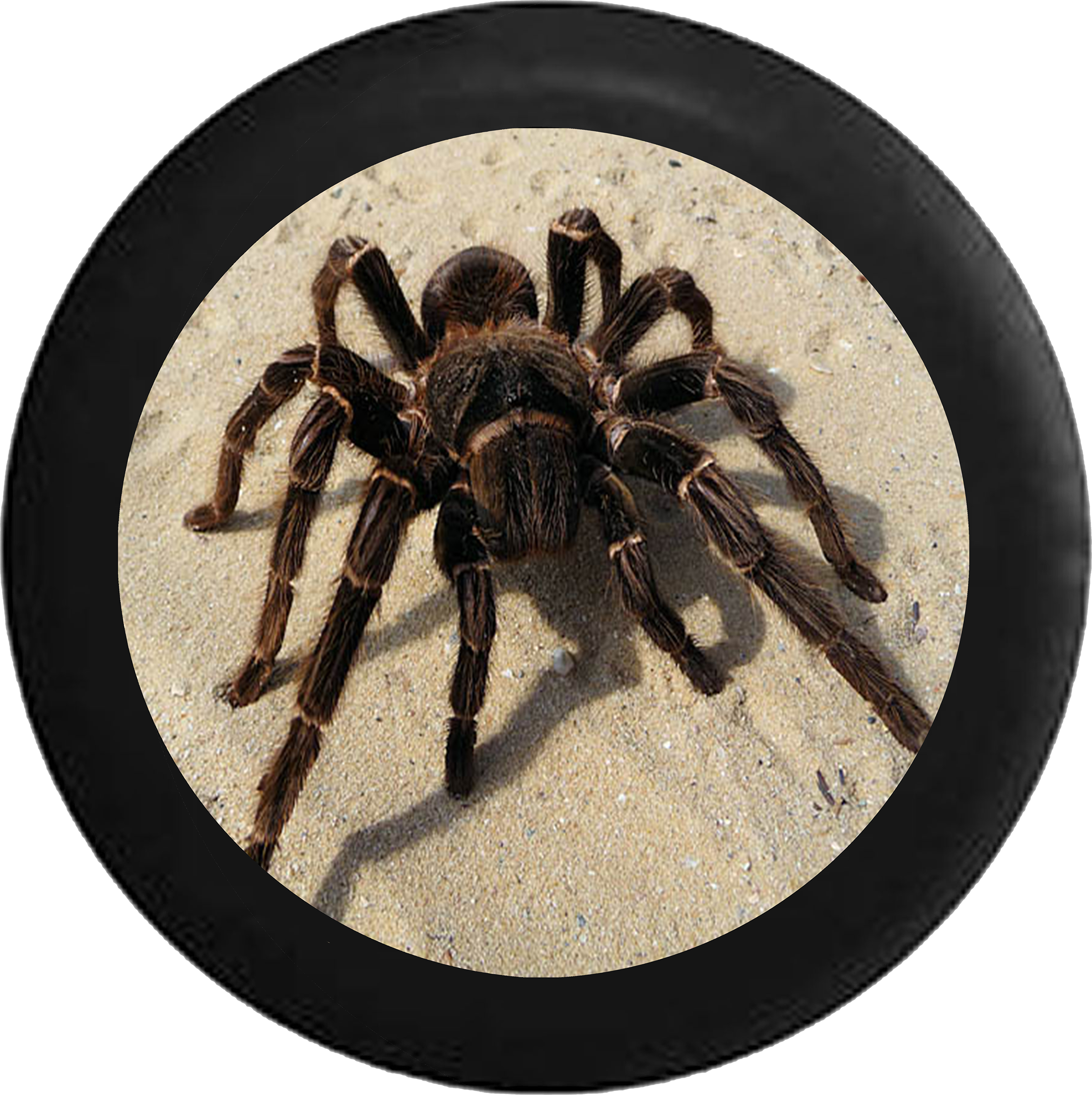 Tarantula Spider On Desert Sand Jeep Camper Spare Tire - Lasiodora Parahybana (2200x2206), Png Download