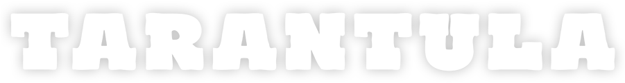 Tarantula Png (900x360), Png Download