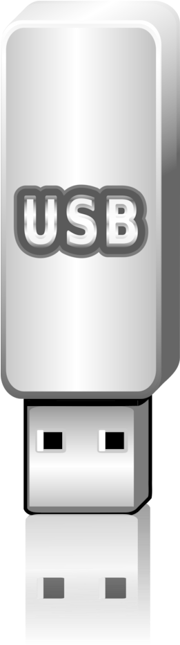 Flash Memory Clipart - Usb Flash Drive (260x959), Png Download