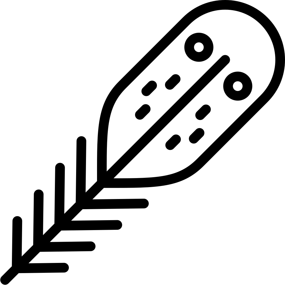 Feather Comments - Line Art (981x981), Png Download