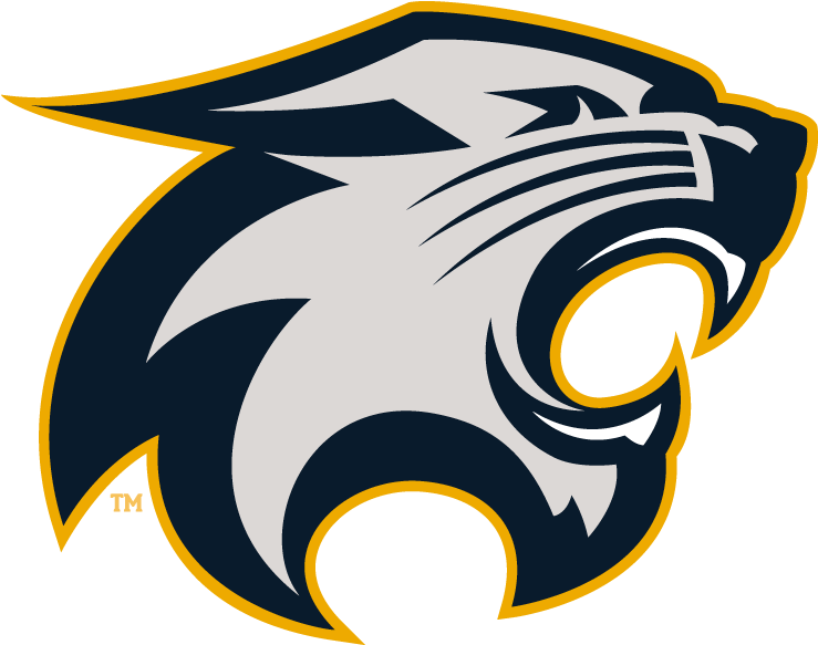 The River Falls Wildcats - River Falls Wildcats Logo (800x600), Png Download