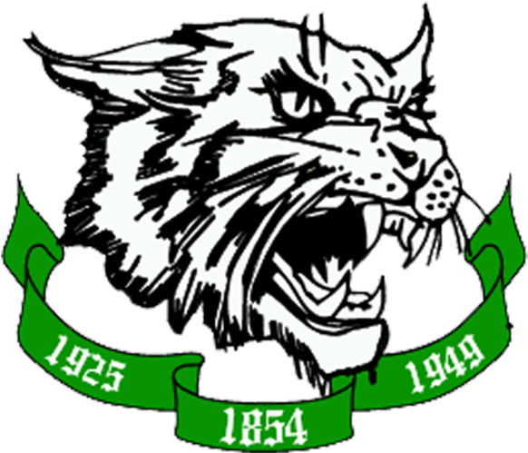 59 321k Phone 12 Oct 2018 - Arundel High School Wildcats (800x800), Png Download