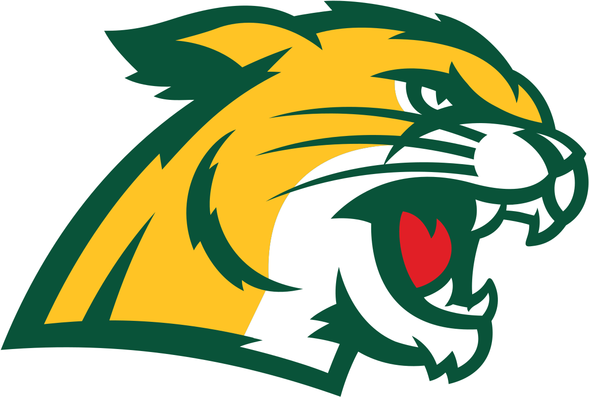 Northern Michigan Wildcats Wikipedia - Northern Michigan University Wildcats (1200x816), Png Download