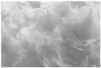 Monochrome (400x400), Png Download