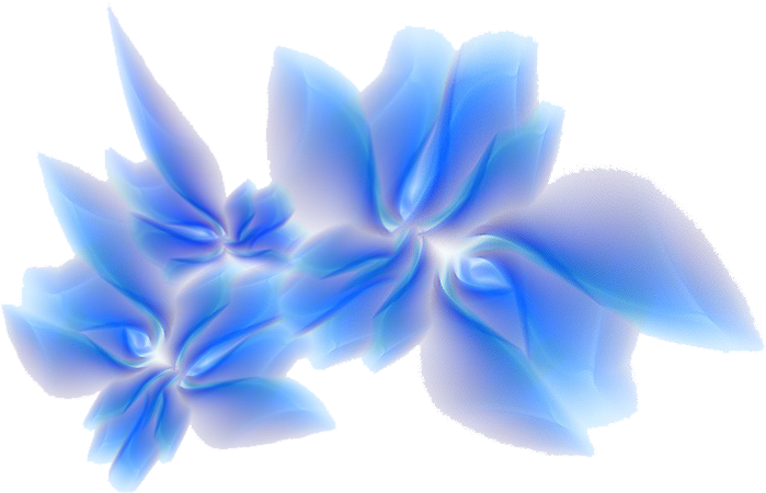 Blue Flower Border Designs (1024x768), Png Download