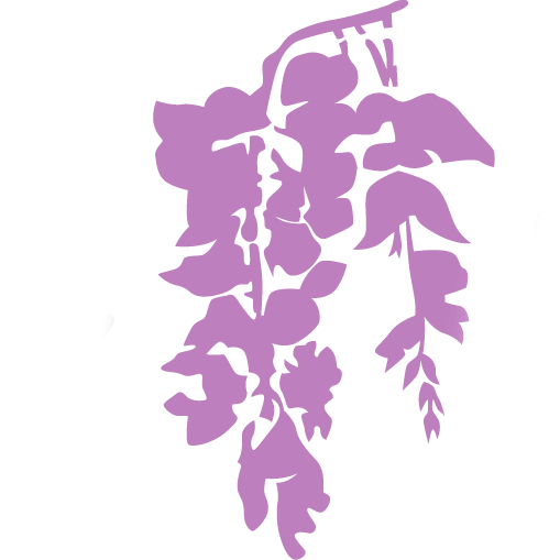 Wisteria Ridge (509x509), Png Download