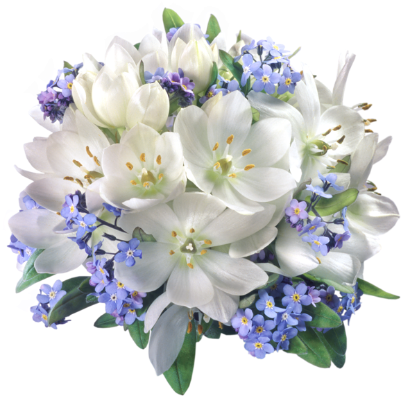 0, - White And Blue Flowers Png (600x594), Png Download