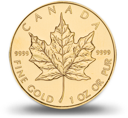 Canadian Gold Maple - Canadian Gold Maple Leaf (460x500), Png Download