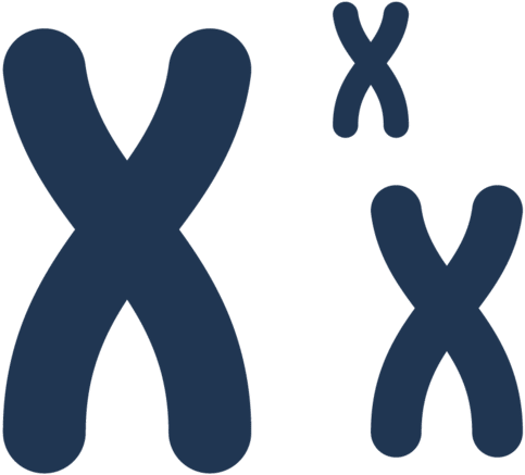 High-quality Sequencing For Genomes, Transcriptomes - Illustration (800x623), Png Download