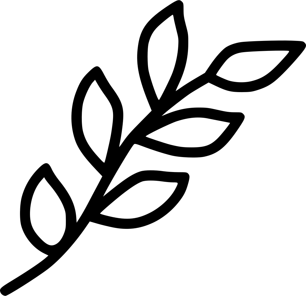 Branch Leaf Leaves Spring Decoration Nature Plant Svg - Leaves On Branch Svg (980x948), Png Download