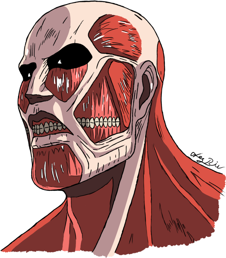 Attack On Titan Transparent Images - Attack On Titan Colossal Titan Png (850x940), Png Download