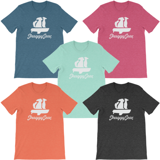 Color Options Ss Logo 01 (576x576), Png Download
