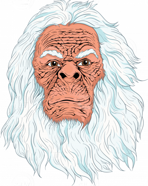Yeti Face (478x600), Png Download