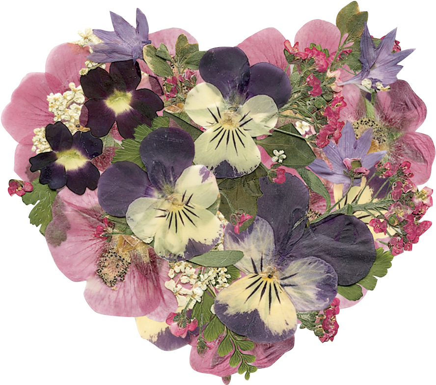 Art Pressed Flowers - Plum Purple Flower Heart Dried Pressed Glass Pendant (926x827), Png Download