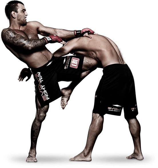 Mixed Martial Arts Fight Png Pic - Mix Martial Arts Png (600x600), Png Download