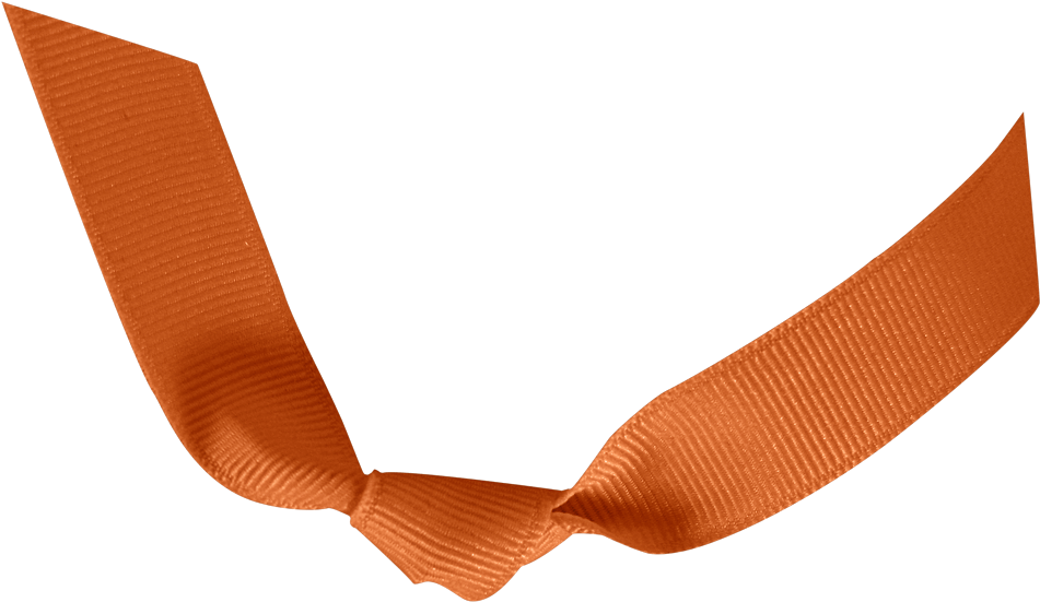 Kevinandamanda Ribbon Knot Orange - Construction Paper (1050x650), Png Download