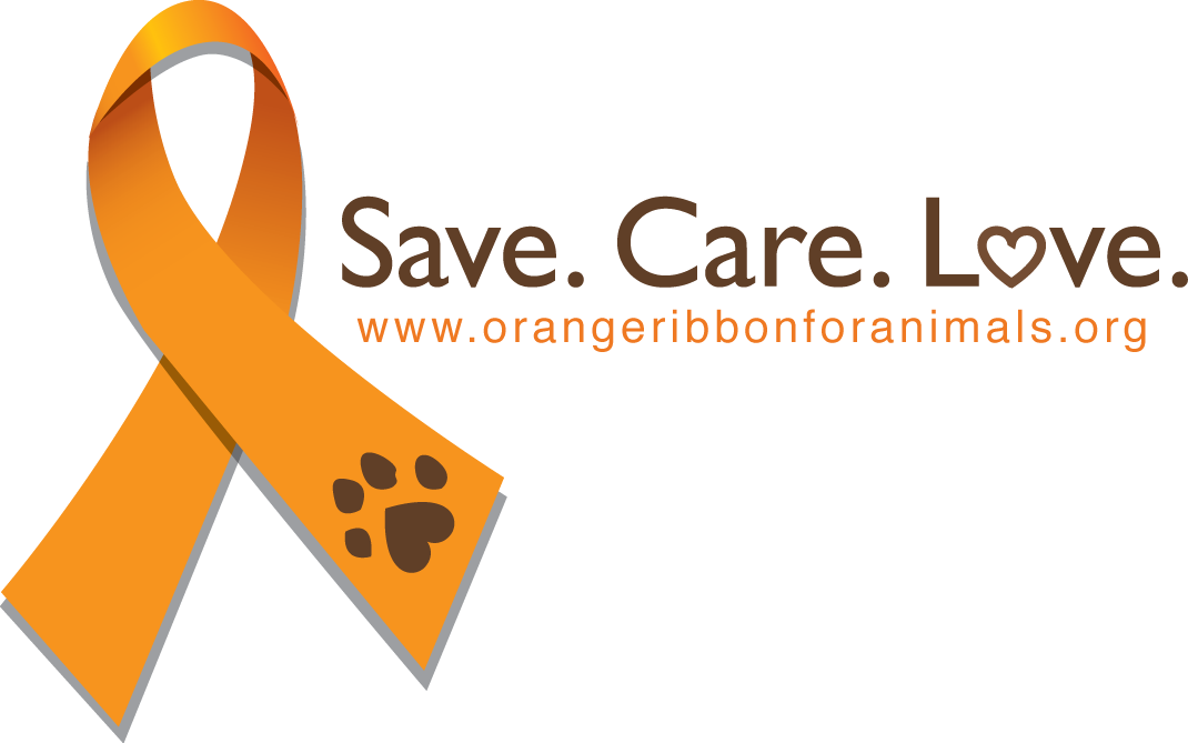 We're Also Jumping On The Thoughtless Thursday Blog - Against Animal Cruelty Color (1070x669), Png Download