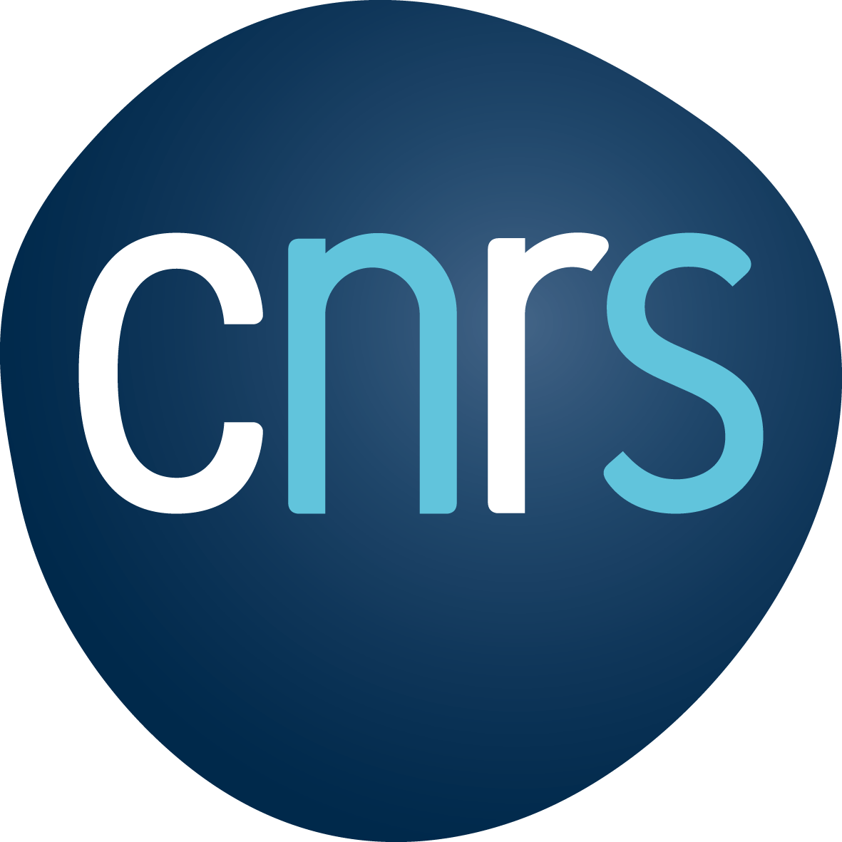 Logo Cnrs Vectoriel (1024x1024), Png Download