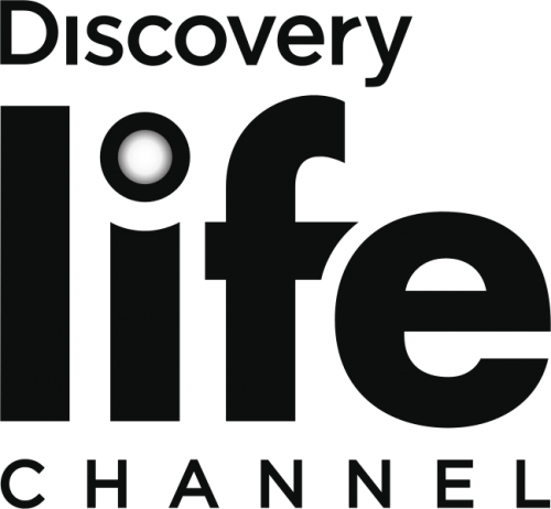 Discovery Life Channel Logo (500x462), Png Download
