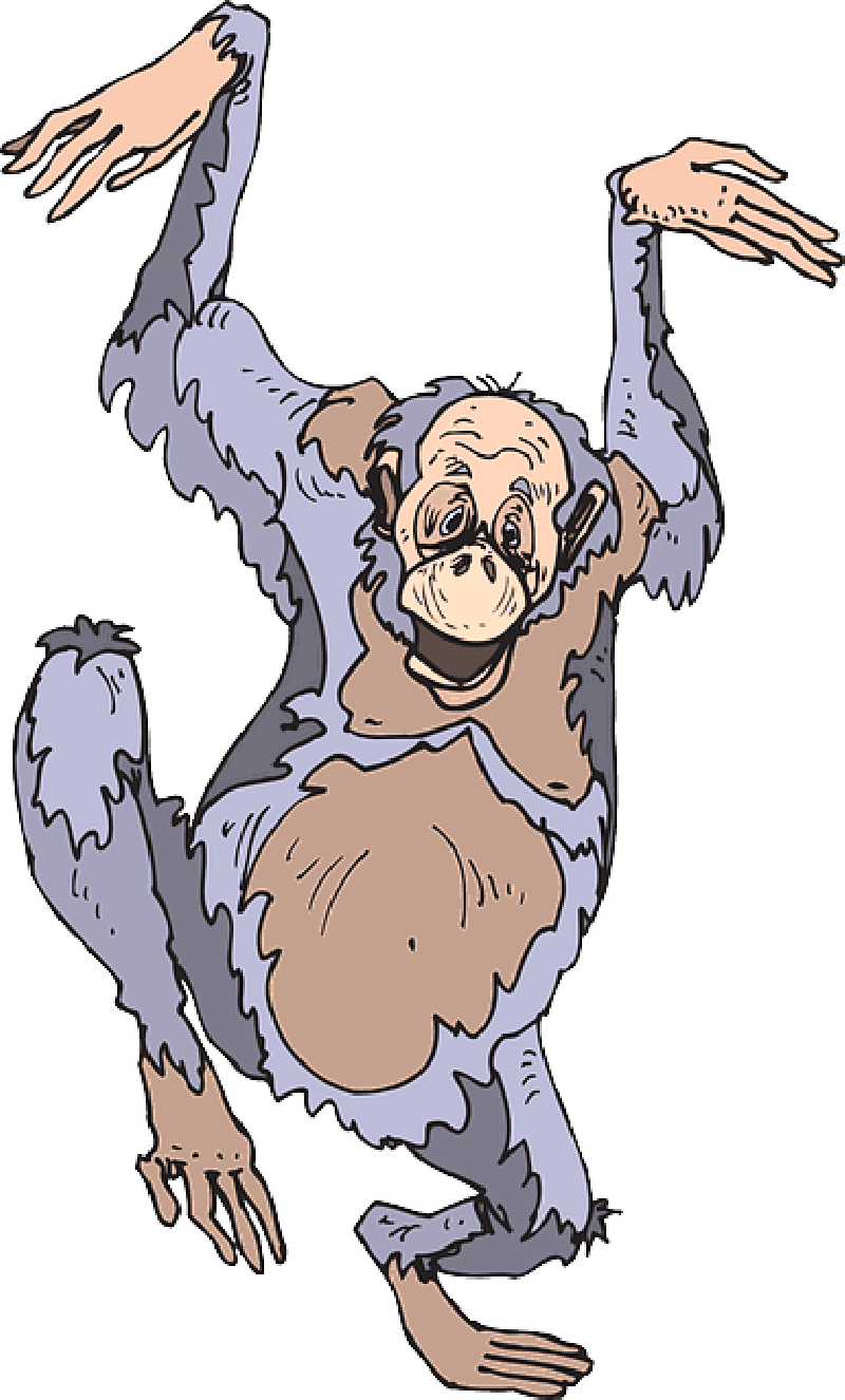 Mb Image/png - Hewan Gila Lucu Gerak (800x1326), Png Download