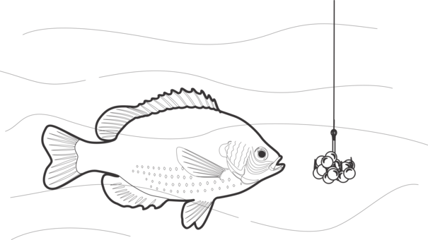 Black And White Fishing Bait Fishing Rods - Fish Fishing Rod Png (605x340), Png Download