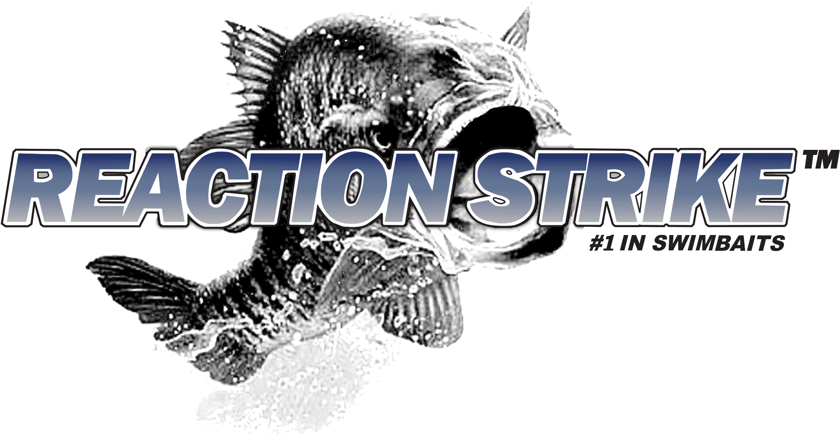 Reaction Strike (1842x935), Png Download