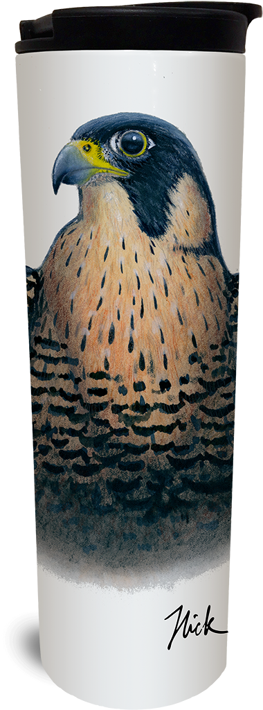 Peregrine Falcon Tumbler - Watermark (1024x1365), Png Download